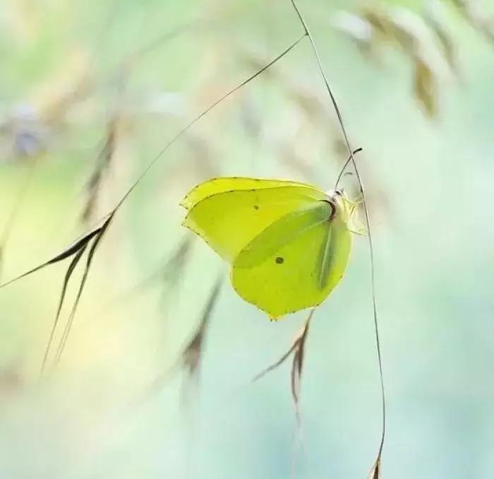 不怕别人对你使坏就怕别人对你好,不怕你占便宜就怕代价太大