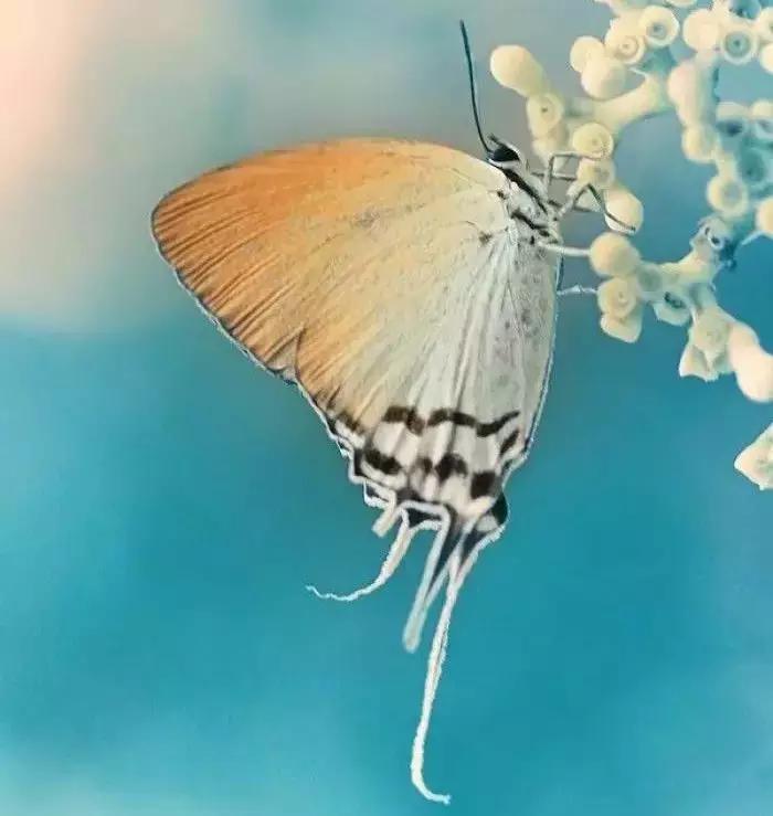 不怕你占便宜就怕代价太大,不怕吃亏就怕别人说你占便宜