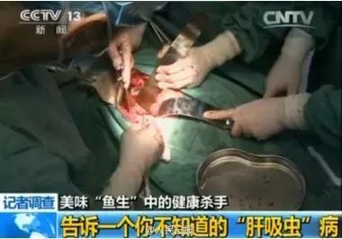 这种假“三文鱼”，寄生虫重灾区！别傻傻吃了还不自知