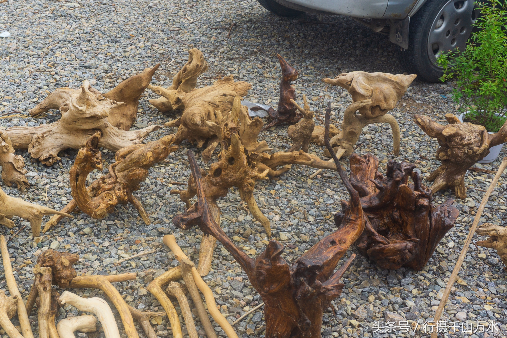 农村常见的树根摆件,农村树根制作工艺品