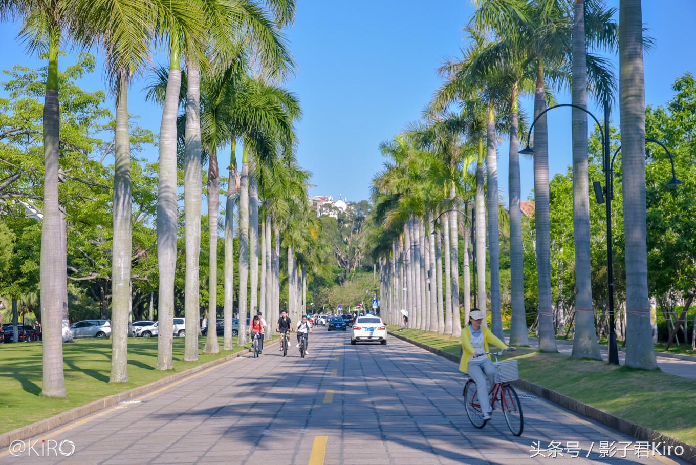 在厦门旅游去哪里看日落,去厦门的一天自由行旅游攻略