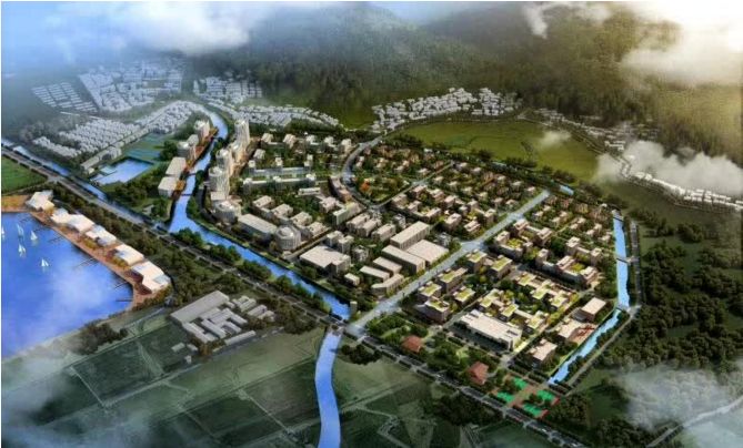 浙江日报刊文点赞舟山,浙江日报点赞黄岩