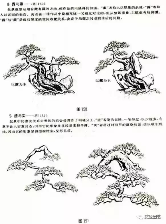 树木盆景蟠扎造型方法,树桩盆景的树木造型制作顺序
