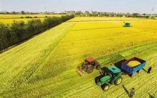 土地流转热点,土地流转助推产业振兴