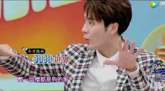 最豪华足球场草坪,足球场豪宅