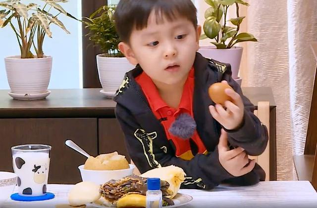 邓莎大麟子磕伤,邓莎受伤