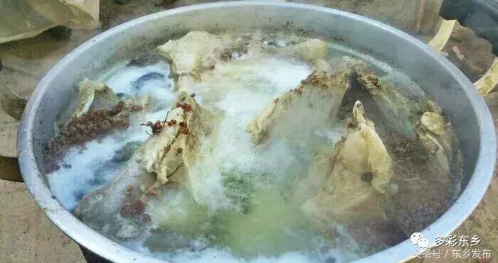 临夏东乡：一家三代*产党共**员的为民情怀