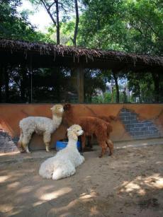 武汉春天周末带孩子玩攻略,这个季节武汉哪里适合带孩子去玩