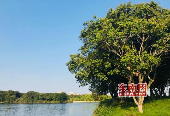 莆田市荔林水乡,莆田荔林水乡公园