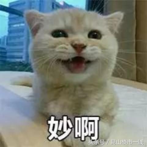 鏄嗗北鏈潵鍙戝睍鍓嶆櫙,鏄嗗北鏈潵鍙戝睍娼滃姏