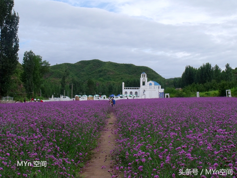 北京京郊游好去处,北京薰衣草庄园风景