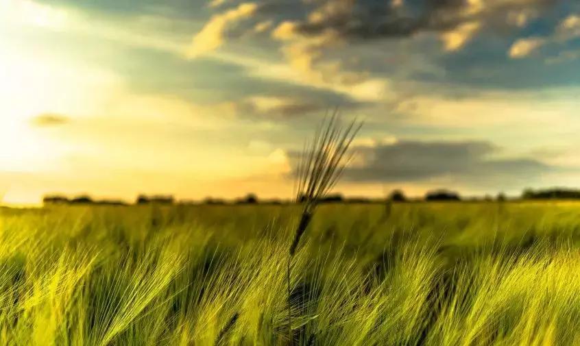 大理每个季节都很美,在大理每天都是那么的美好