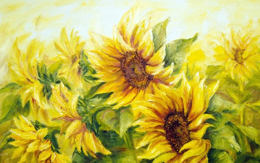 大理每个季节都很美,在大理每天都是那么的美好