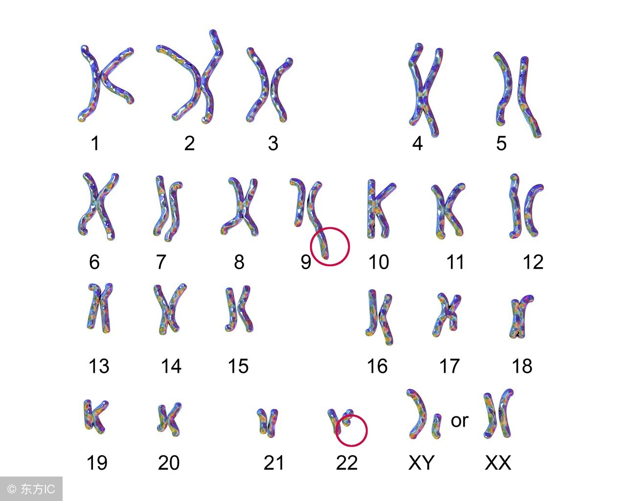 胎停后再怀孕胎停的几率有多大,胎停有什么症状一般在多久停胎