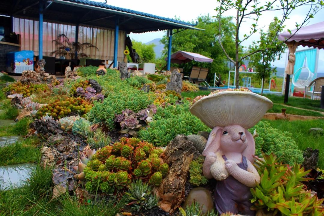 一个人旅行云南丽江,一个人去云南丽江旅行攻略图