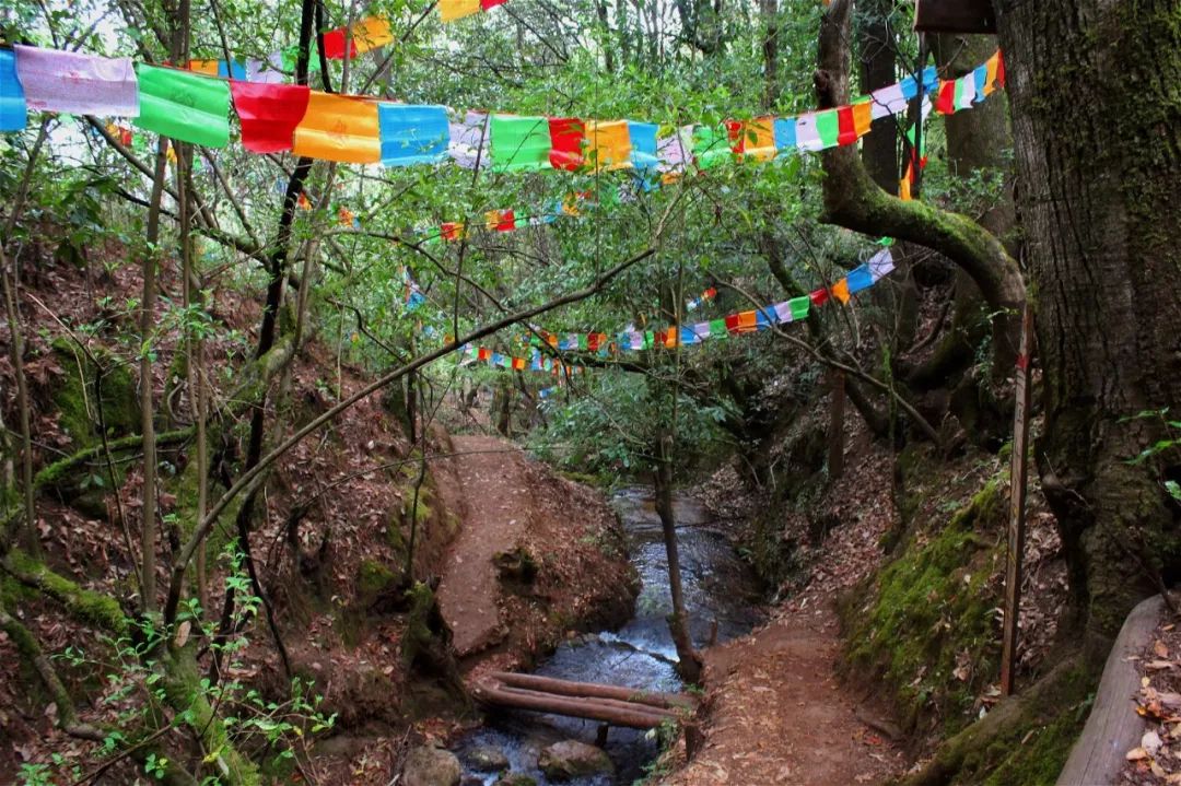 一个人旅行云南丽江,一个人去云南丽江旅行攻略图