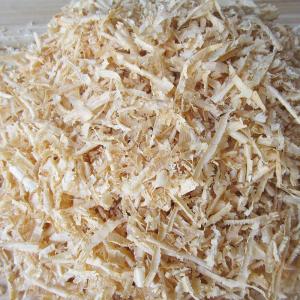 龙猫尿布有用吗 (龙猫厕所尿布)