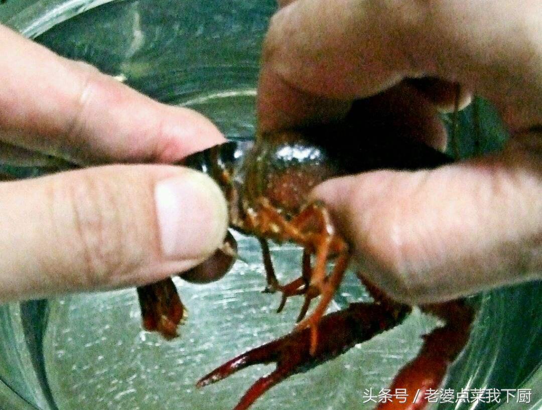 小龙虾最干净的处理方式,小龙虾处理不干净
