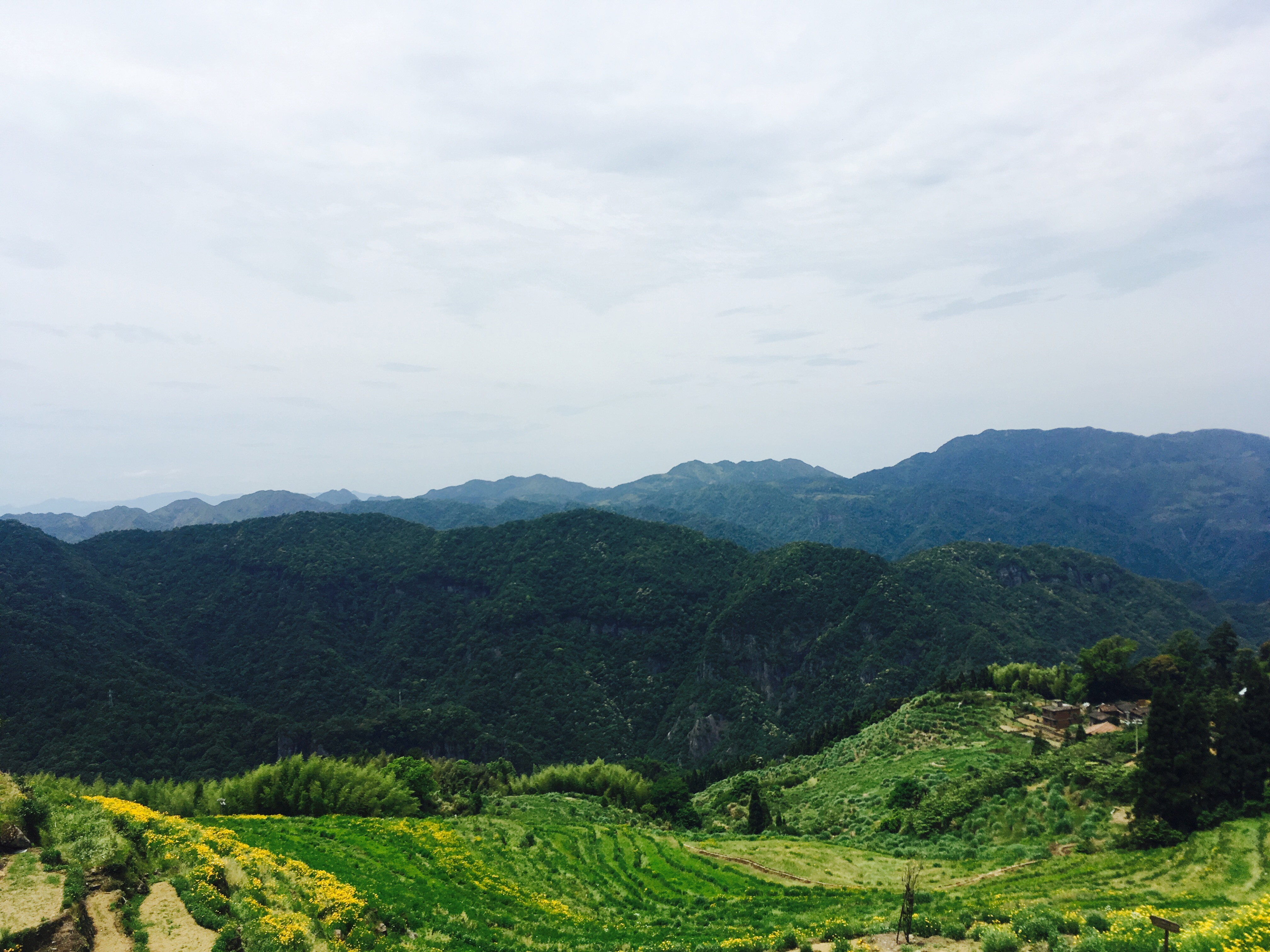 福建儿时的记忆山上的野果,福建山上秋天野果