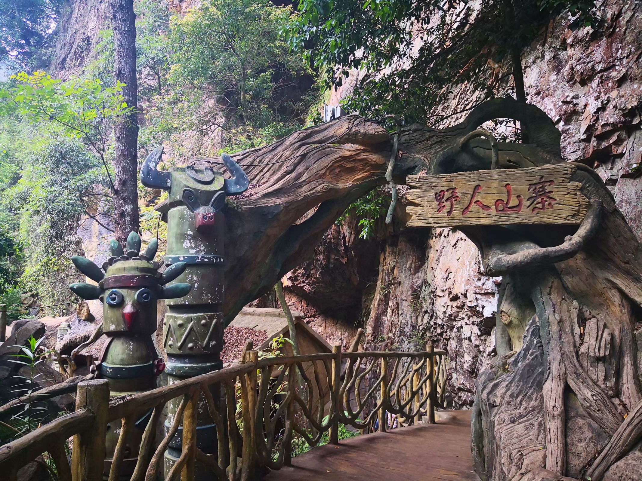 福建儿时的记忆山上的野果,福建山上秋天野果