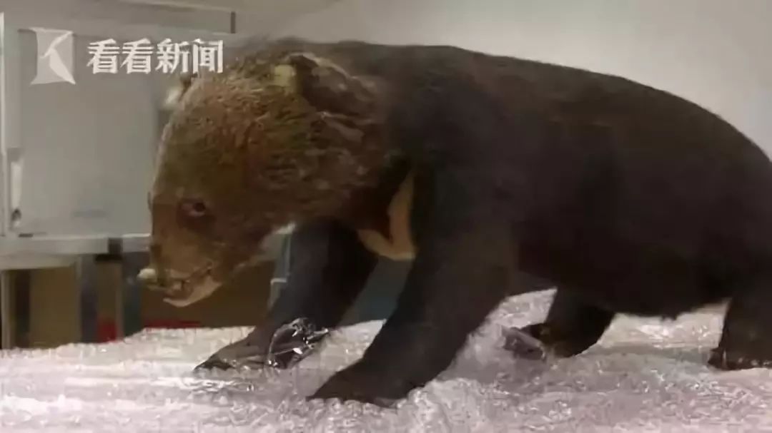 朋友圈代购真实案例,代购骗局揭秘朋友圈