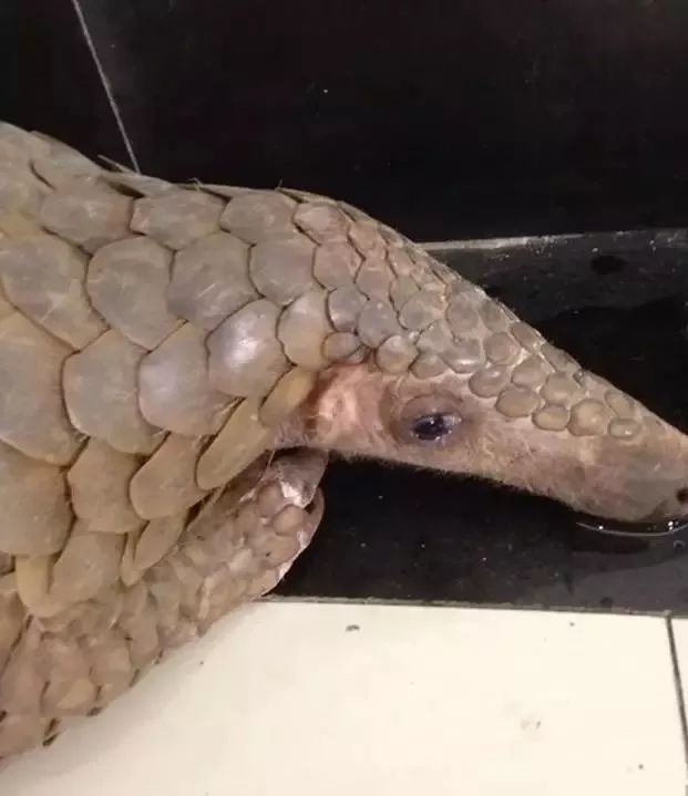 代购究竟有多暴利,做代购那些离谱事件