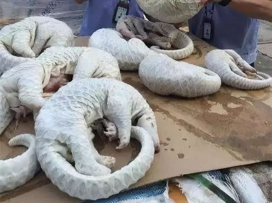 朋友圈代购低价套路,朋友圈里卖低价服装的真相