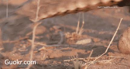 代购究竟有多暴利,做代购那些离谱事件