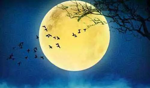 阳历阴历和农历怎么区别,阳历阴历和农历都有哪些区别呢