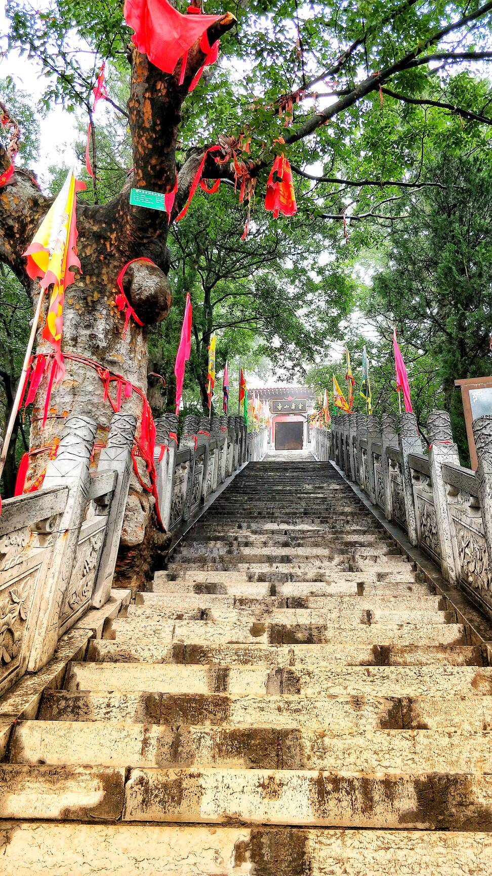 零距离感受中国传统文化,零距离感受非遗文化