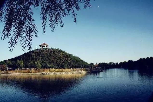 黑龙江好消息在哪里看,外交部黑龙江全球推介活动