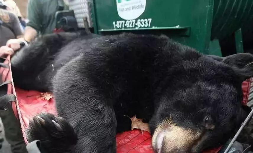 朋友圈里卖低价服装的真相,揭露各种海外代购真相