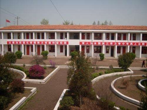 张君为何从善良少年沦为悍匪，他的高中老师说了一句话，揭开谜底