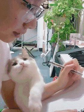 主人专心在创作音乐,不料身旁小猫咪泛起花痴:认真的男人真帅!