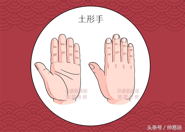 手相几种,手相5种手型看你最适合什么职业