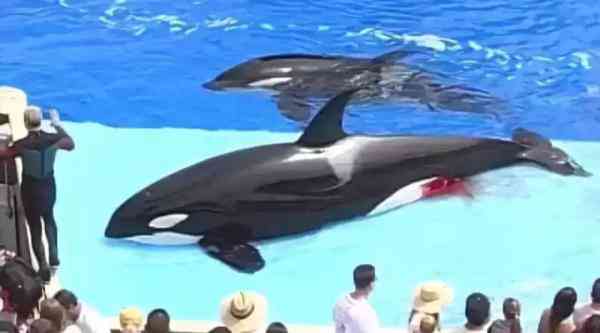 朋友圈里卖低价服装的真相,朋友圈代购低价套路