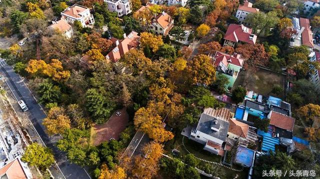 青岛的八大关全景,介绍一下青岛的八大关