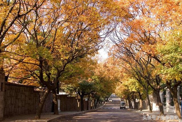 青岛的八大关全景,介绍一下青岛的八大关