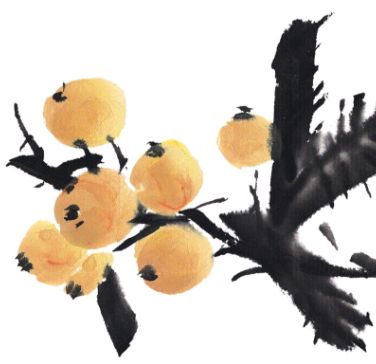 如皋这个地方种了一种神奇的树！树上会掉“金蛋”，“无涌”的人去“抢”！