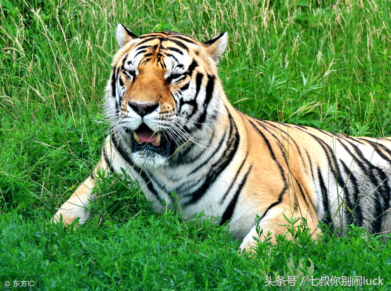 朋友圈低价卖完什么套路,朋友圈里卖低价服装的真相