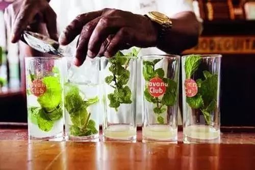 “一带一路”沿线国家名品推荐——毛里求斯名品