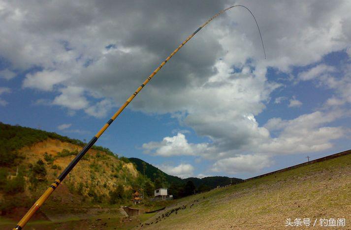 新手选择鱼竿综合竿怎么选,新手如何选择手竿鱼竿