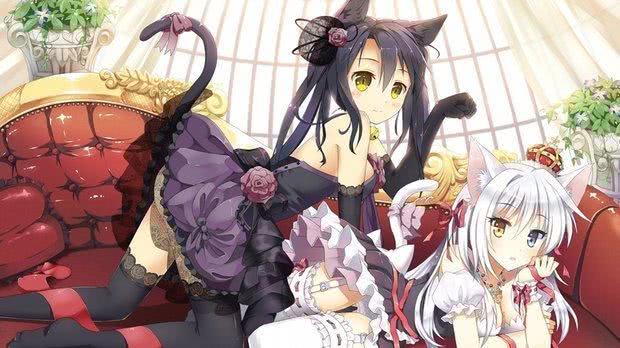 企鹅娘吐槽表情包,企鹅娘经典片段