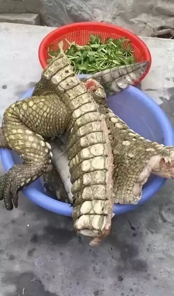 代购骗局揭秘朋友圈,朋友圈里卖低价服装的真相