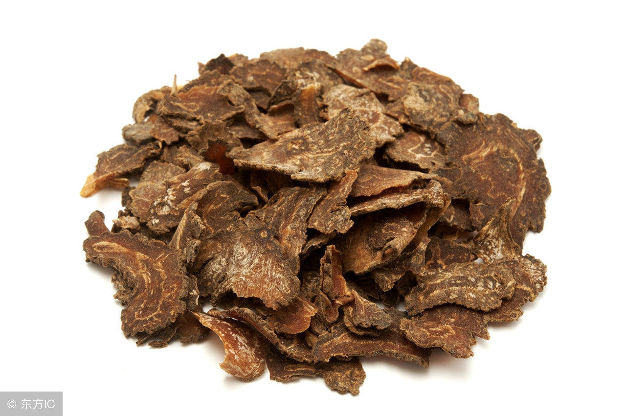 酒为百药之长指的是什么酒,酒为百药之长出自哪里