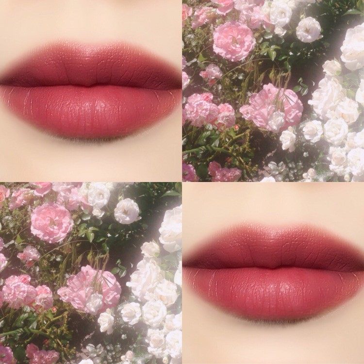 比较好用又平价的口红色号 (与小羊皮315色号相同的平价口红)