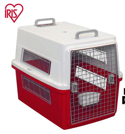 超级推荐的猫,推荐猫最爱吃的东西还很便宜