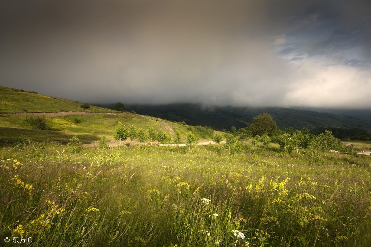 惟有王城最堪隐赏析,惟有王城最堪隐下一句