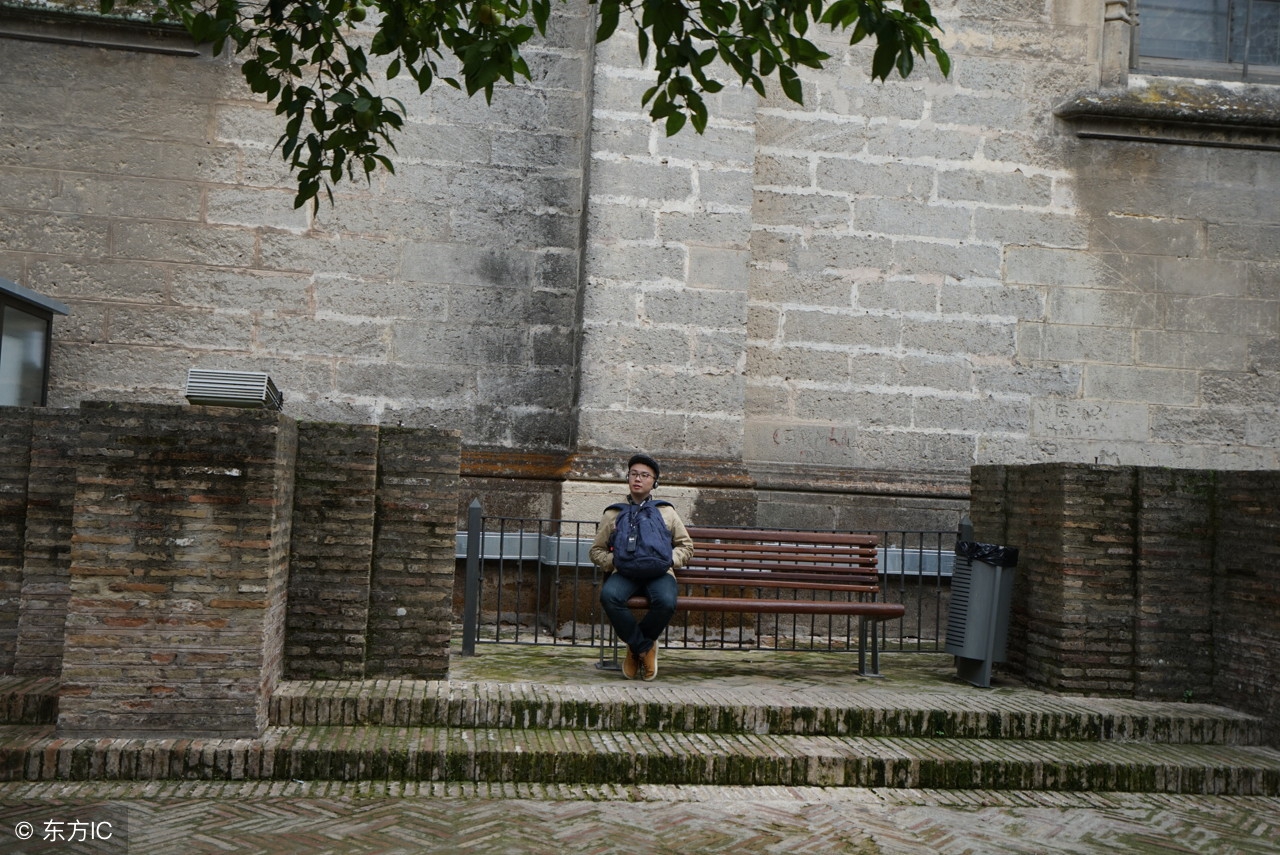 惟有王城最堪隐赏析,惟有王城最堪隐下一句