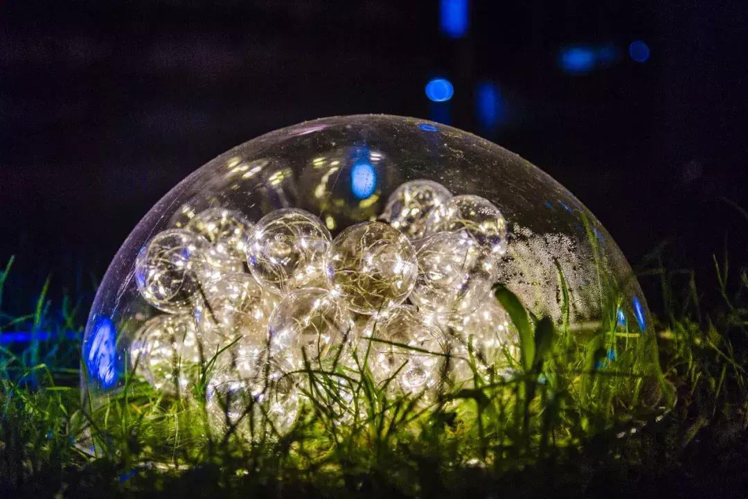 南艺爆料,南艺日常